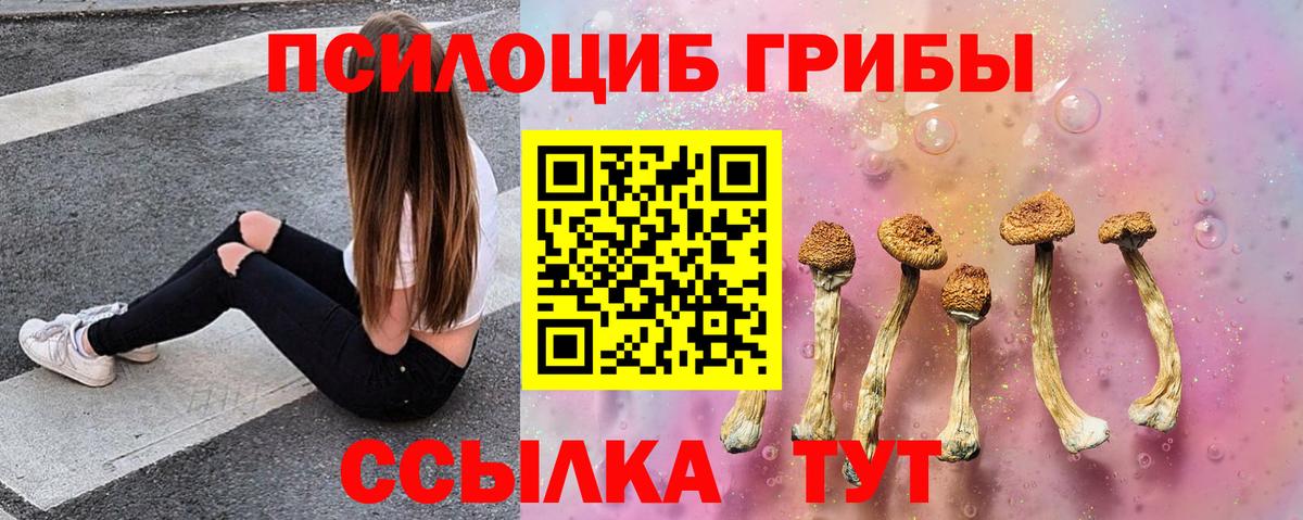 Псилоцибиновые грибы MAGIC MUSHROOMS  Вход с VPN  купить  сайты  Сосновый Бор  Галлюциногенные грибы прущие грибы 